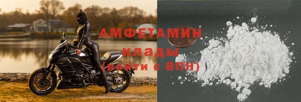индика Дмитров