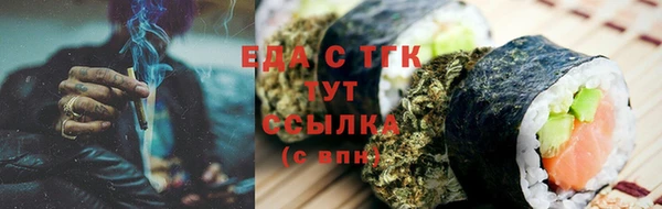индика Дмитров