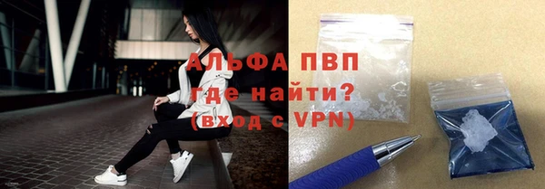 индика Дмитров