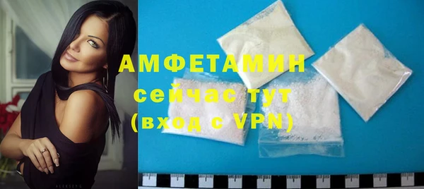 индика Дмитров