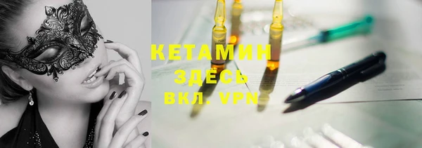 индика Дмитров