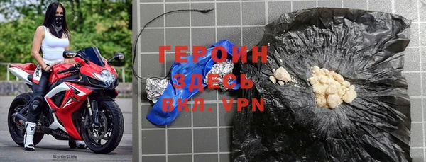 индика Дмитров