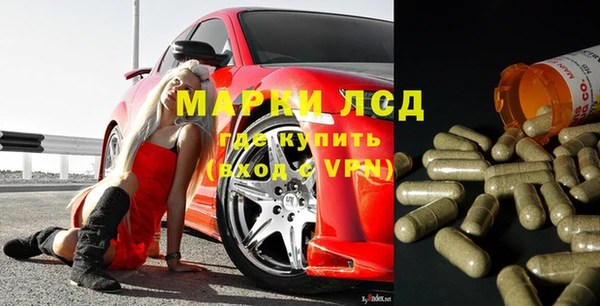 индика Дмитров