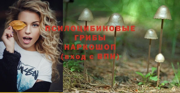 индика Дмитров