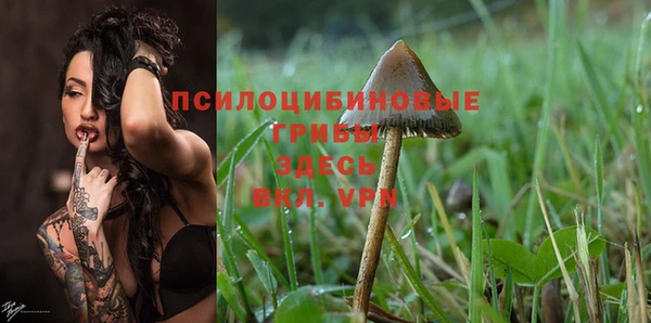 мескалин Дмитровск