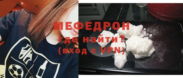 индика Дмитров