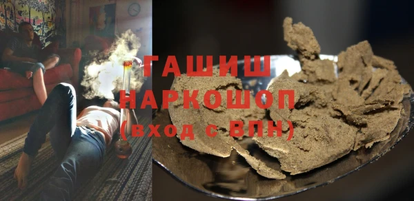 индика Дмитров