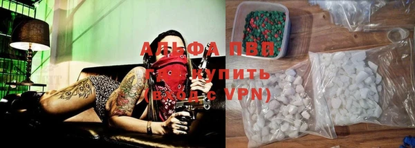 индика Дмитров