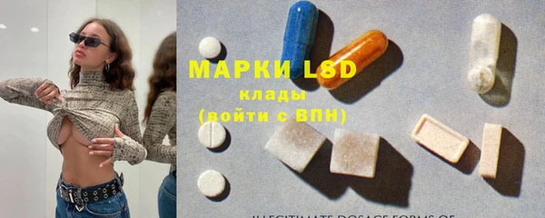 индика Дмитров