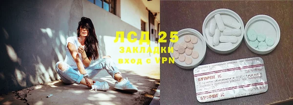 индика Дмитров