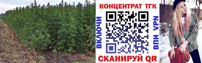 Дистиллят ТГК Wax  Купить закладки  Ивдель 