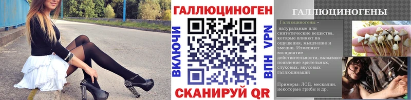 Галлюциногенные грибы MAGIC MUSHROOMS  Купить закладки  Ивдель 